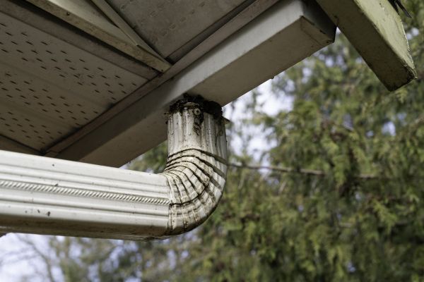Roof Drain Replacement in Georgetown